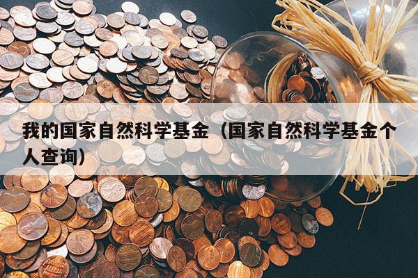 我的国家自然科学基金（国家自然科学基金个人查询）