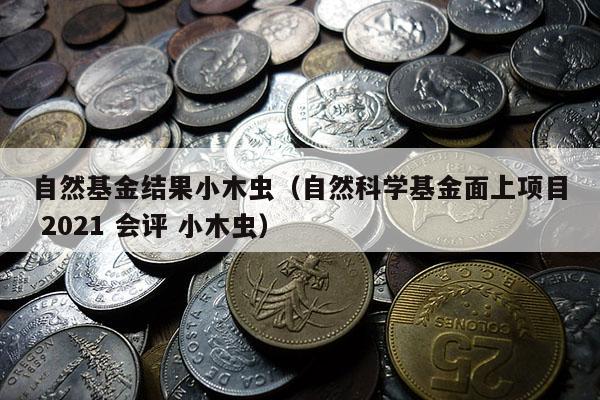 自然基金结果小木虫（自然科学基金面上项目 2021 会评 小木虫）