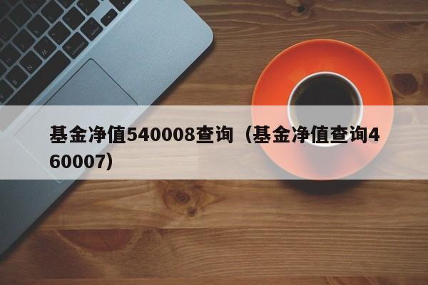 基金净值540008查询（基金净值查询460007）