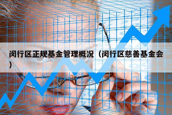 闵行区正规基金管理概况（闵行区慈善基金会）