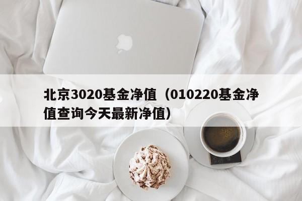 北京3020基金净值（010220基金净值查询今天最新净值）