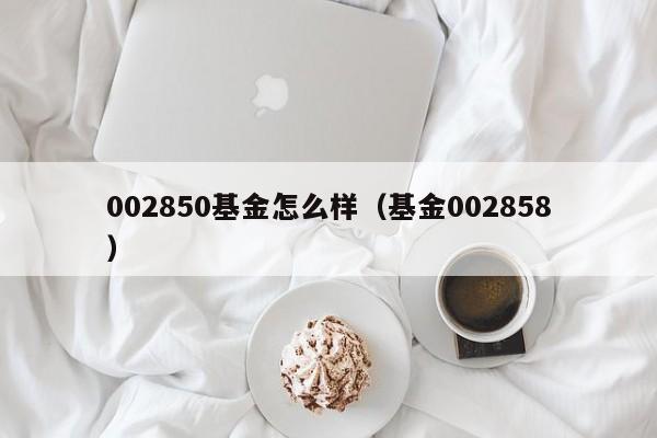 002850基金怎么样（基金002858）