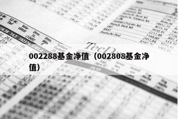 002288基金净值（002808基金净值）