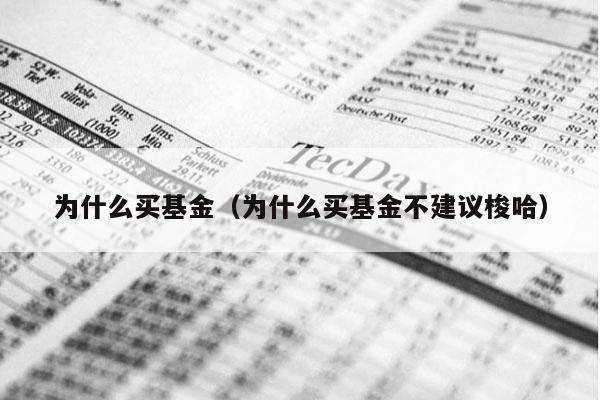 为什么买基金（为什么买基金不建议梭哈）