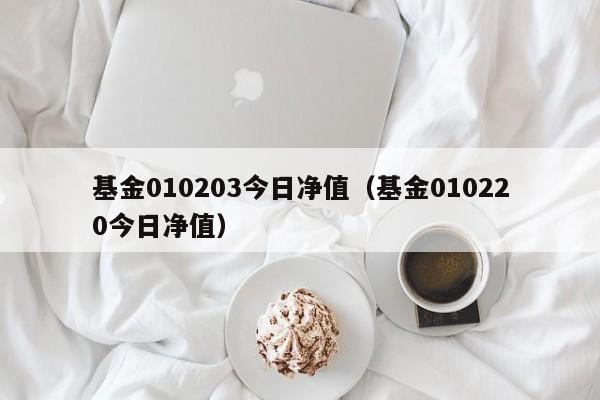 基金010203今日净值（基金010220今日净值）