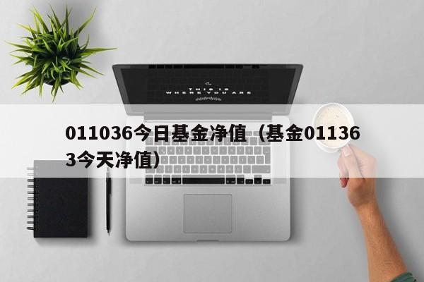 011036今日基金净值（基金011363今天净值）