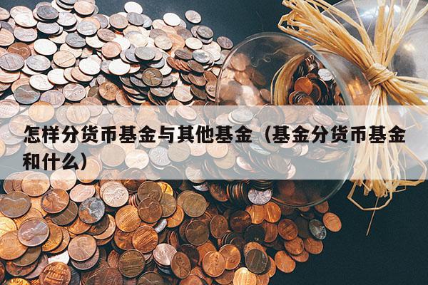 怎样分货币基金与其他基金（基金分货币基金和什么）