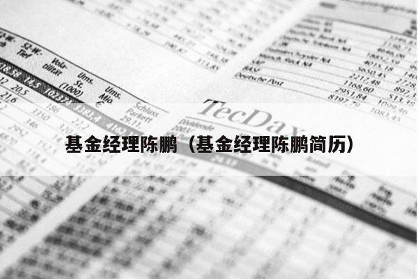 基金经理陈鹏（基金经理陈鹏简历）
