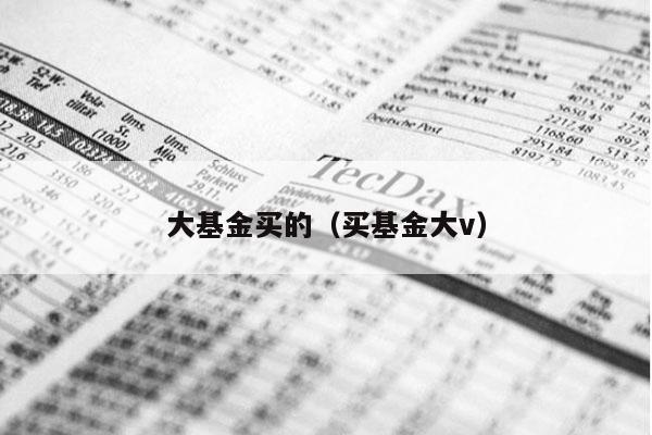 大基金买的（买基金大v）