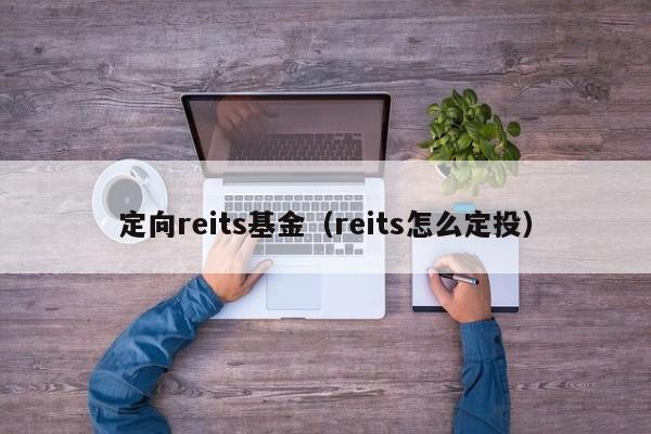 定向reits基金（reits怎么定投）