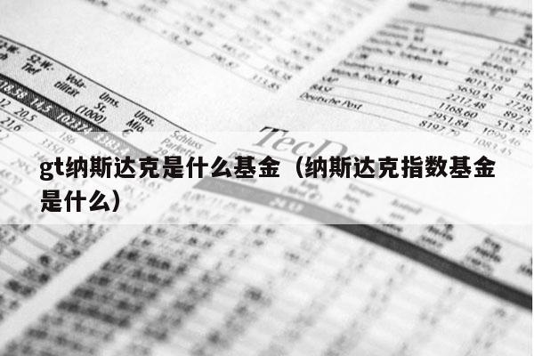 gt纳斯达克是什么基金（纳斯达克指数基金是什么）