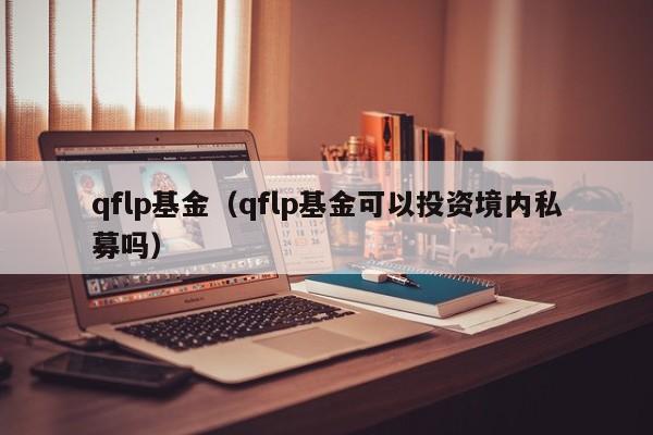 qflp基金（qflp基金可以投资境内私募吗）