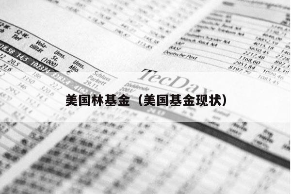 美国林基金（美国基金现状）