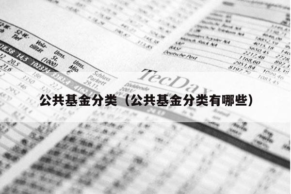 公共基金分类（公共基金分类有哪些）