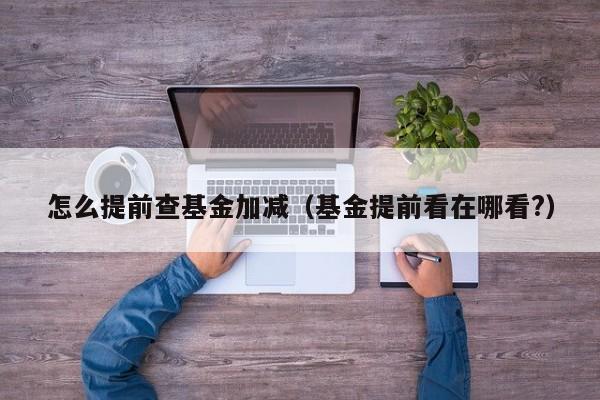 怎么提前查基金加减（基金提前看在哪看?）