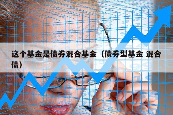 这个基金是债券混合基金（债券型基金 混合债）