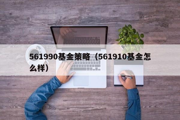 561990基金策略（561910基金怎么样）