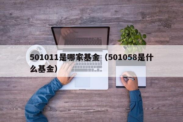 501011是哪家基金（501058是什么基金）