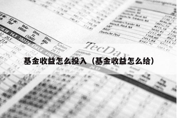 基金收益怎么投入（基金收益怎么给）