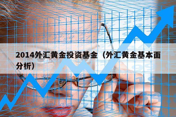 2014外汇黄金投资基金（外汇黄金基本面分析）