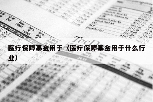 医疗保障基金用于（医疗保障基金用于什么行业）