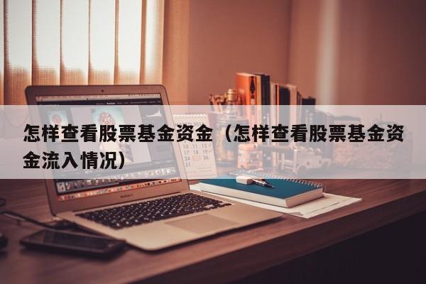 怎样查看股票基金资金（怎样查看股票基金资金流入情况）