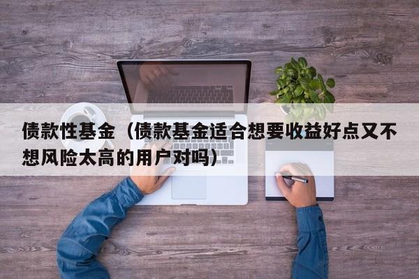 债款性基金（债款基金适合想要收益好点又不想风险太高的用户对吗）