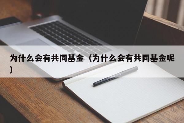 为什么会有共同基金（为什么会有共同基金呢）