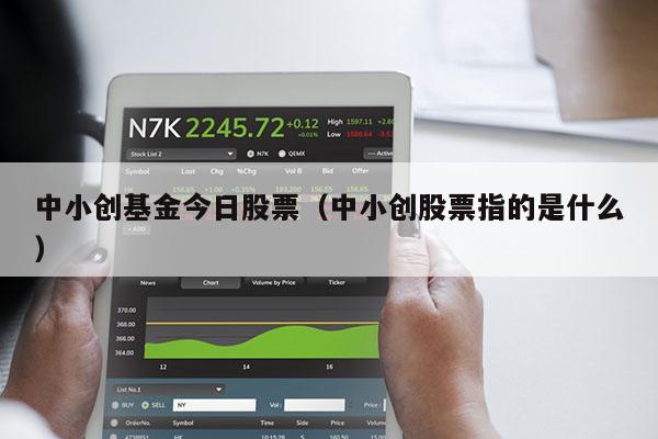 中小创基金今日股票（中小创股票指的是什么）