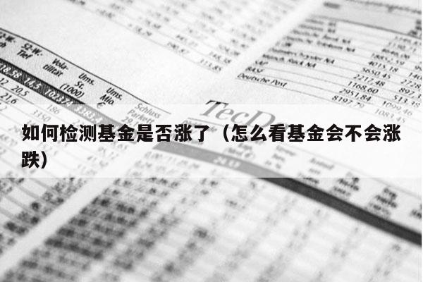 如何检测基金是否涨了（怎么看基金会不会涨跌）