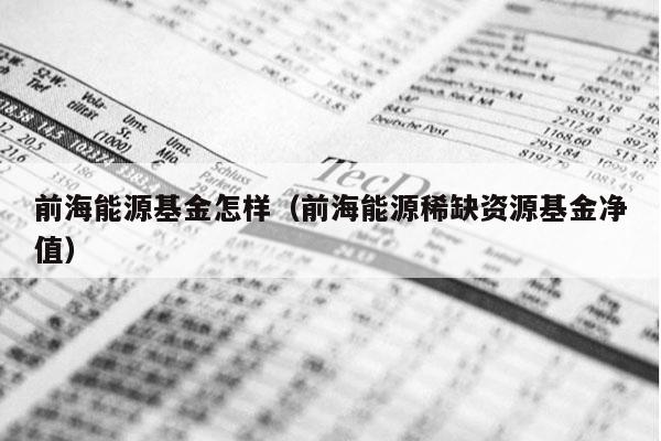 前海能源基金怎样（前海能源稀缺资源基金净值）