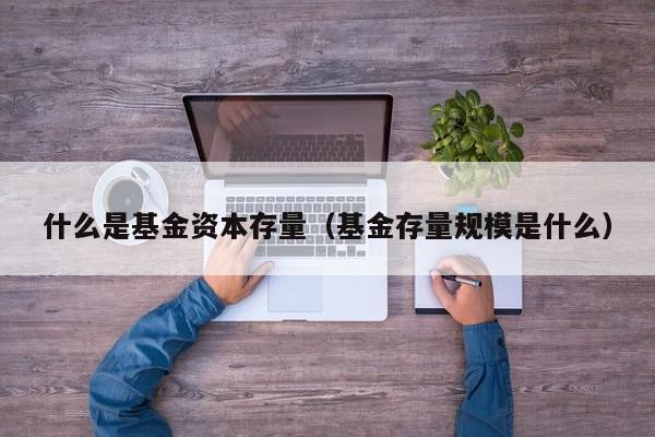 什么是基金资本存量（基金存量规模是什么）
