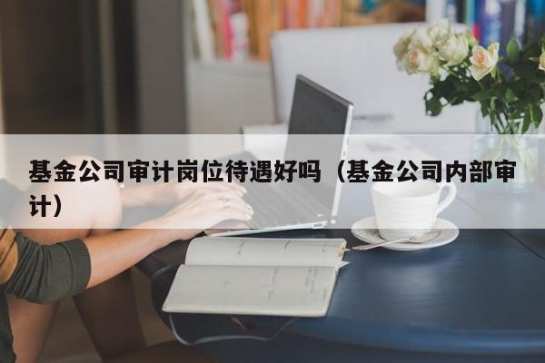基金公司审计岗位待遇好吗（基金公司内部审计）