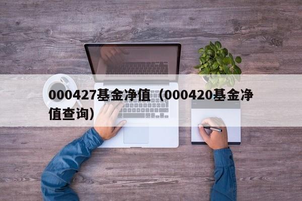 000427基金净值（000420基金净值查询）