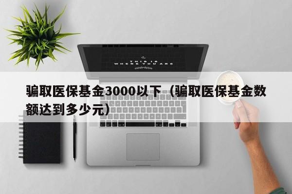骗取医保基金3000以下（骗取医保基金数额达到多少元）