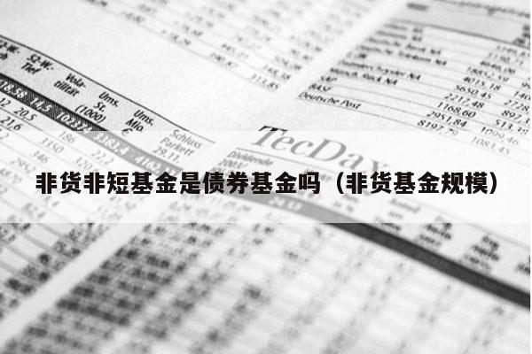 非货非短基金是债券基金吗（非货基金规模）