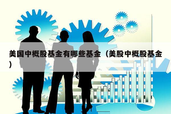 美国中概股基金有哪些基金（美股中概股基金）