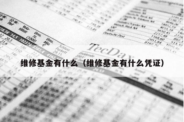 维修基金有什么（维修基金有什么凭证）