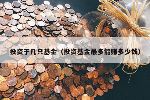 投资于几只基金（投资基金最多能赚多少钱）