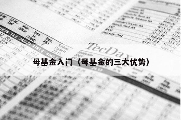 母基金入门（母基金的三大优势）