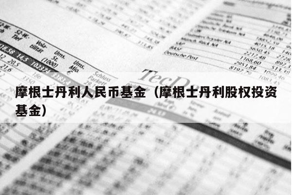 摩根士丹利人民币基金（摩根士丹利股权投资基金）