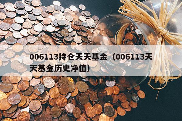 006113持仓天天基金（006113天天基金历史净值）