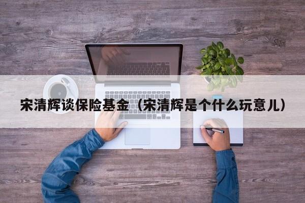 宋清辉谈保险基金（宋清辉是个什么玩意儿）