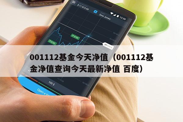001112基金今天净值（001112基金净值查询今天最新净值 百度）