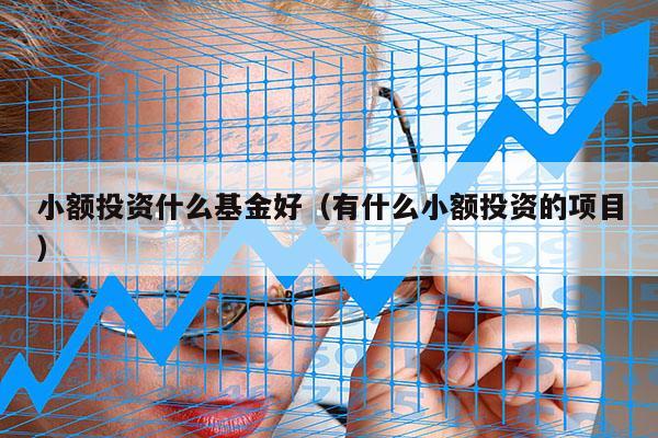 小额投资什么基金好（有什么小额投资的项目）
