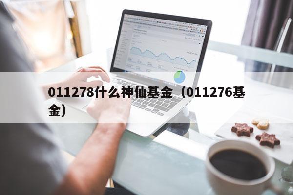 011278什么神仙基金（011276基金）