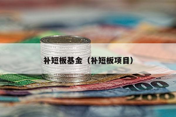 补短板基金（补短板项目）