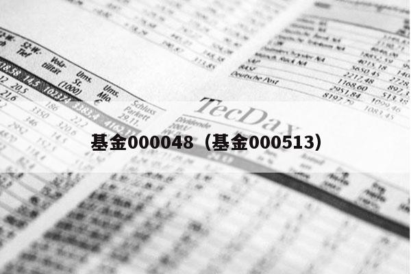 基金000048（基金000513）