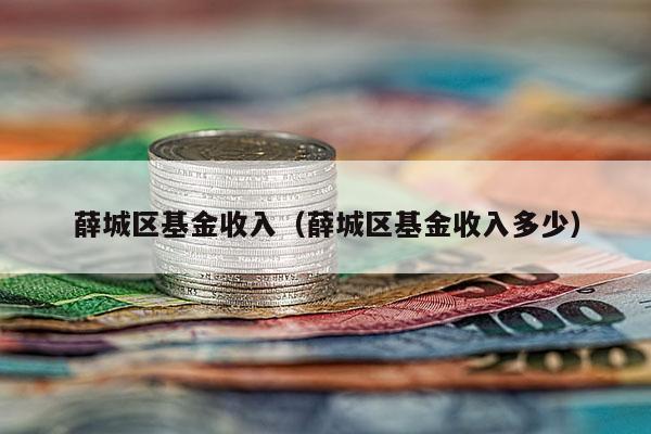 薛城区基金收入（薛城区基金收入多少）