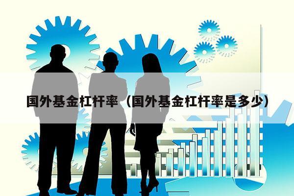 国外基金杠杆率（国外基金杠杆率是多少）